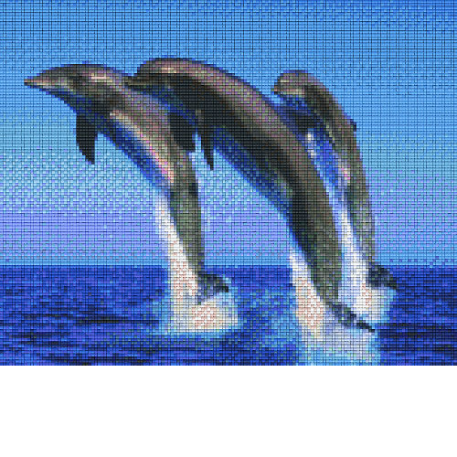 Delfíny 809296